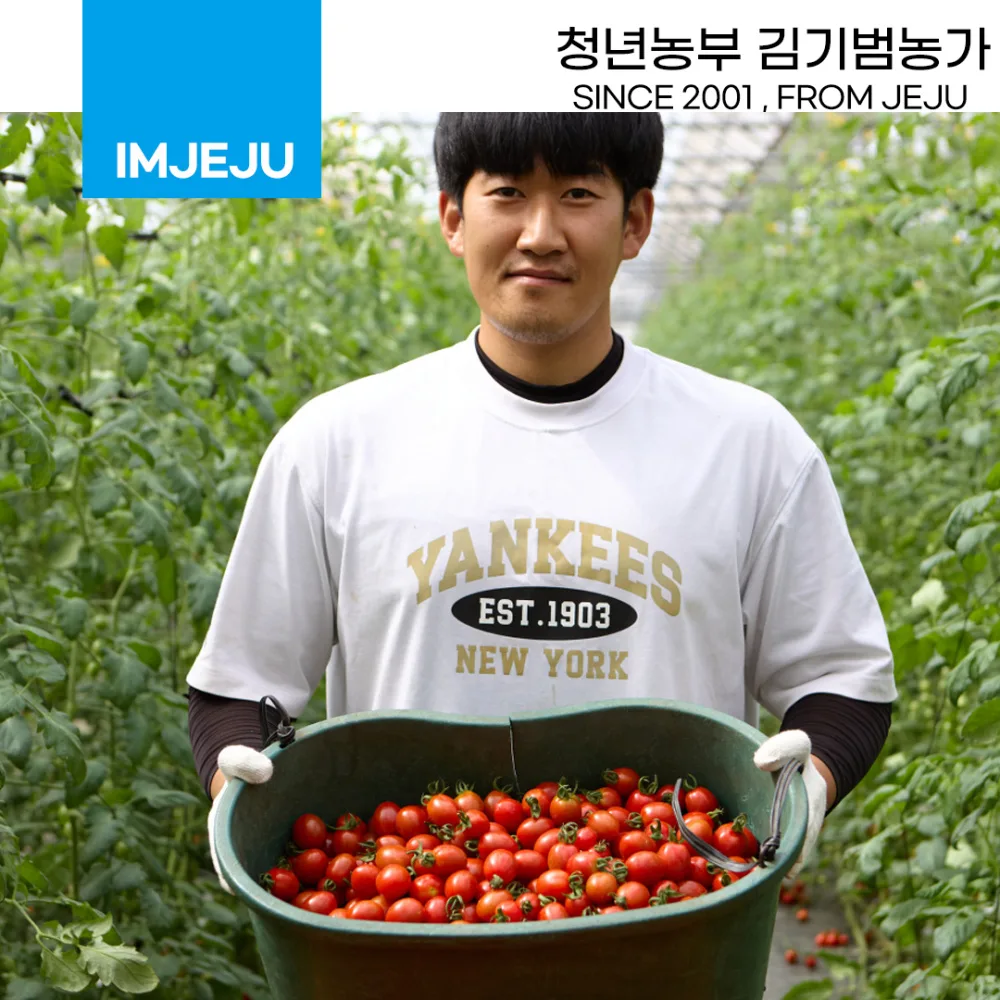 공장 사무실 100평